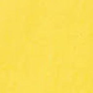 Meet your Posher, Emma mone